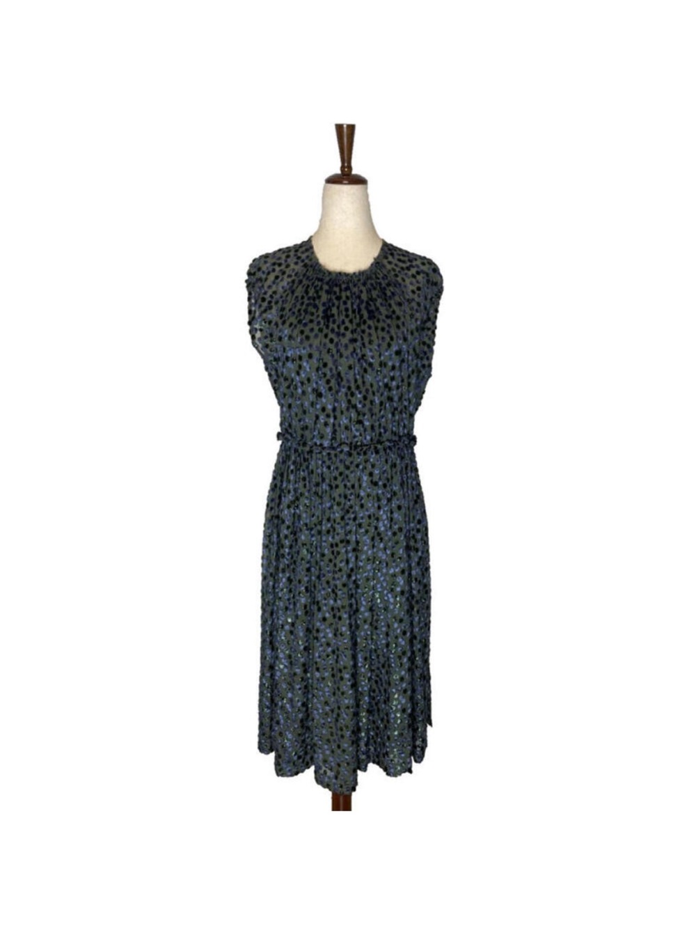 Rachel Comey velvet sheer burnout silk dot A-line dress